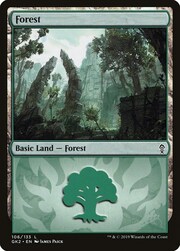 Foresta