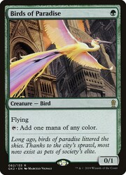 Uccelli del Paradiso