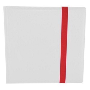 Dex Protection: Album 12-Pocket