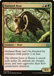 Cinghiale delle Zone di Confine