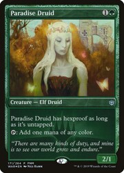 Druida del Paradiso