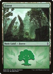 Foresta