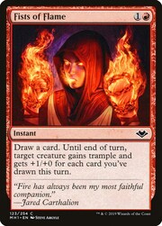 Pugni di Fiamme
