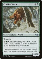 Wurm delle Conifere
