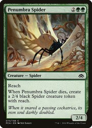 Ragno della Penombra