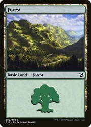 Foresta