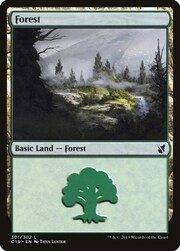 Foresta