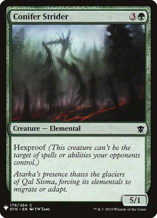 Conifer Strider Card Front