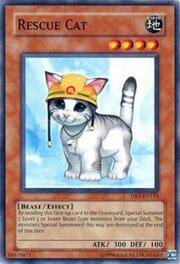 Gatto da Soccorso