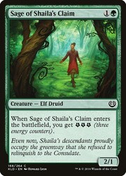 Saggio del Diritto di Shaila