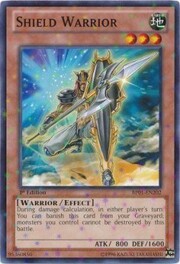 Shield Warrior
