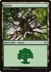 Foresta