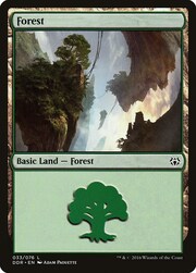 Foresta