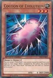 Bozzolo dell'Evoluzione