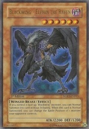 Blackwing - Elphin the Raven