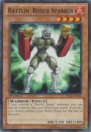 Pugile Indomito Allenatore