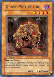 Grave Protector