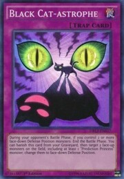 Catastrofe del Gatto Nero