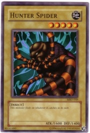 Hunter Spider
