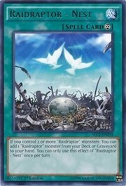 Raidraptor - Nido