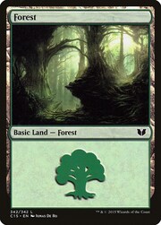 Foresta