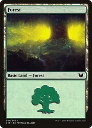 Foresta