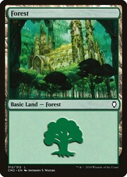 Foresta