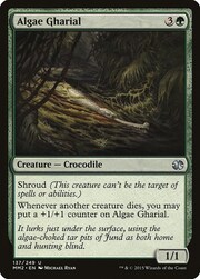Gaviale delle Alghe