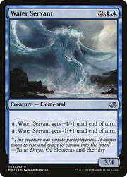 Servitore d'Acqua